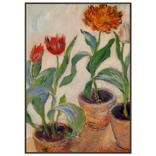 claude monet  Three Pots of Tulips Framed Art Print  - Aluminum Frame - 21x29.7 cm / 8x12"