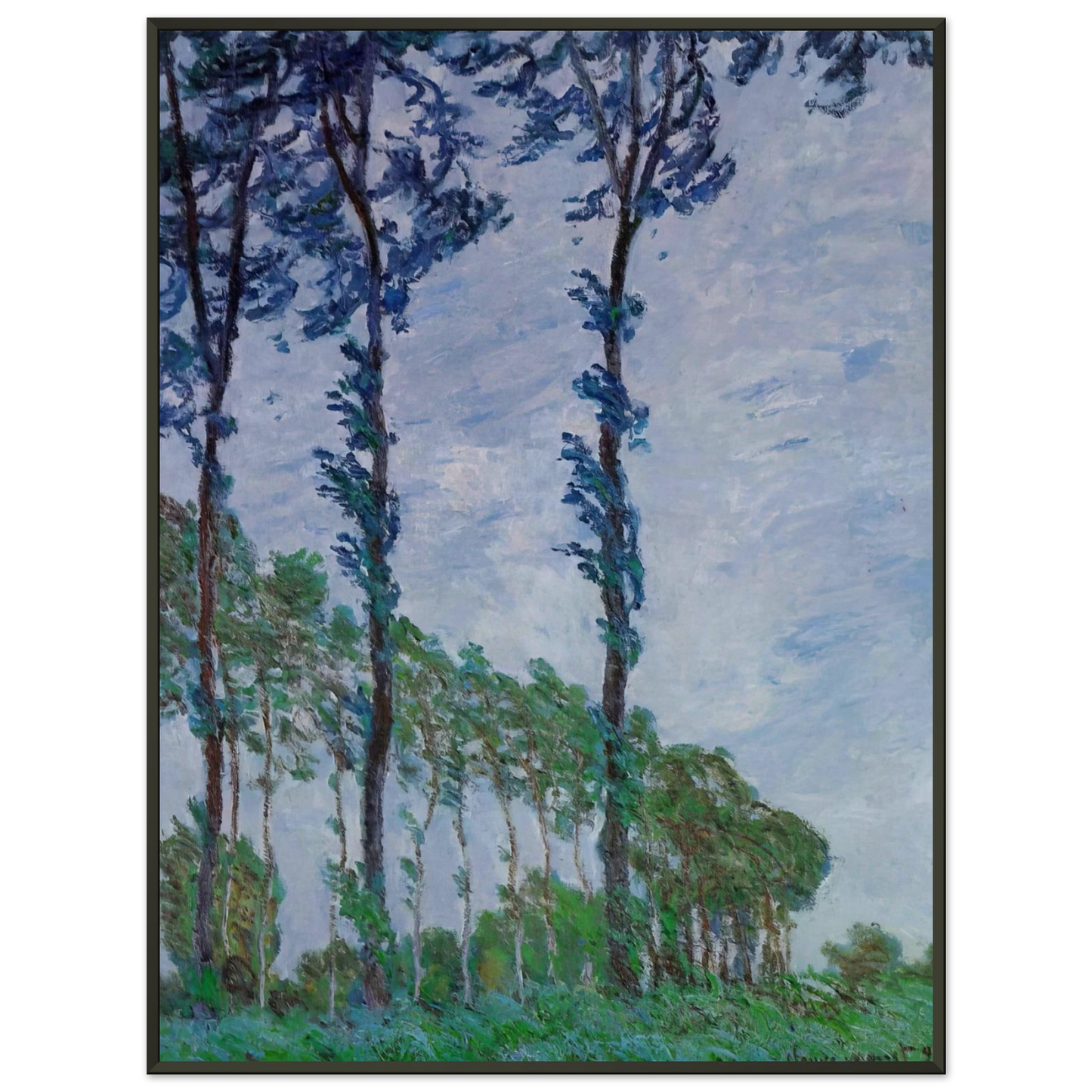 claude monet  Poplars Wind Effect Framed Art Print  - Aluminum Frame - 40x50 cm / 16x20 inches