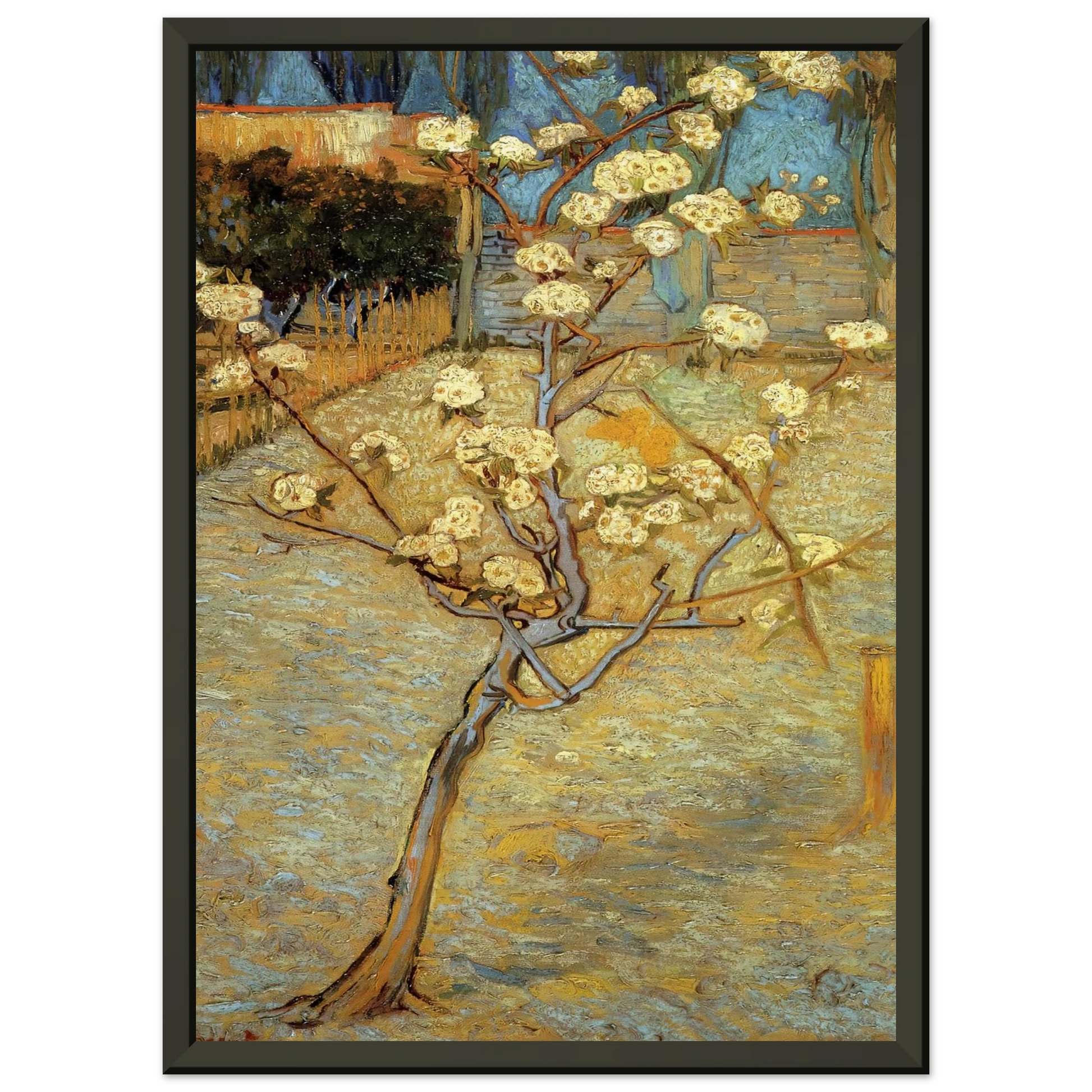 Vincent van Gogh  Pear Tree in Blossom Framed Art Print  - Aluminum Frame - 60x80 cm / 24x32 inches