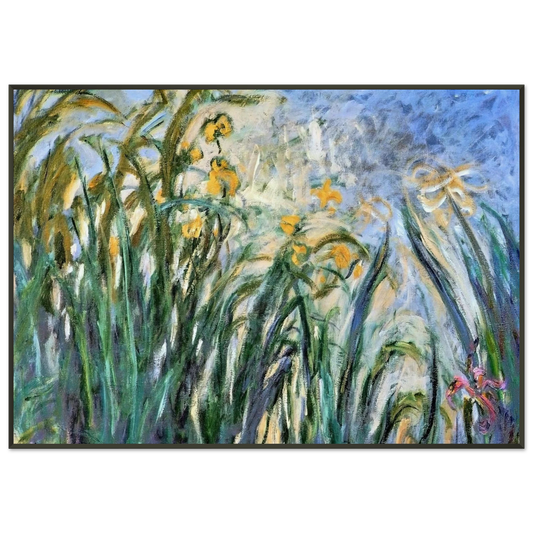 claude monet  Yellow Irises and Malva Framed Art Print  - Aluminum Frame - 21x29.7 cm / 8x12"
