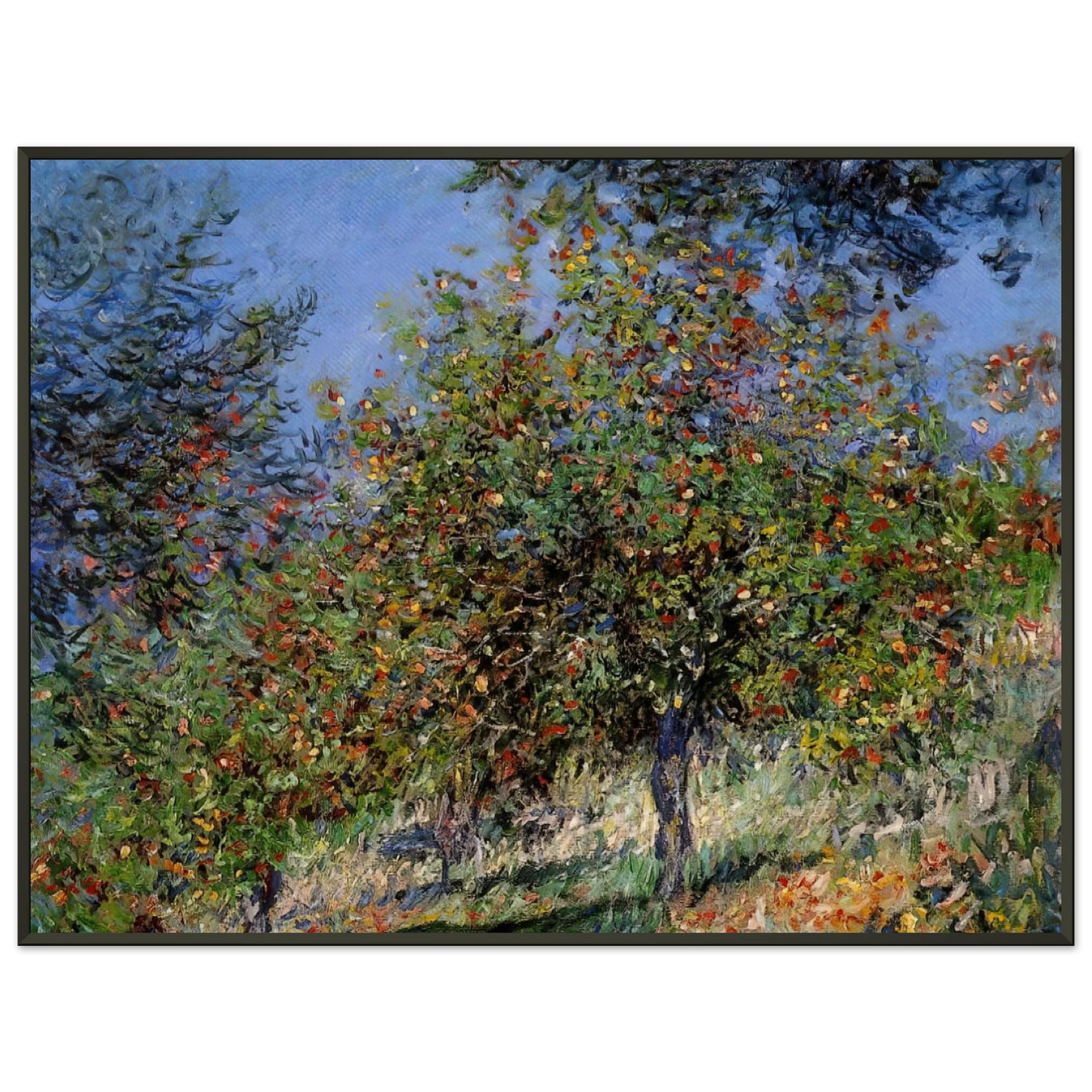 claude monet  Apple Trees on the Chantemesle Hill Framed Art Print  - Aluminum Frame - 60x80 cm / 24x32 inches